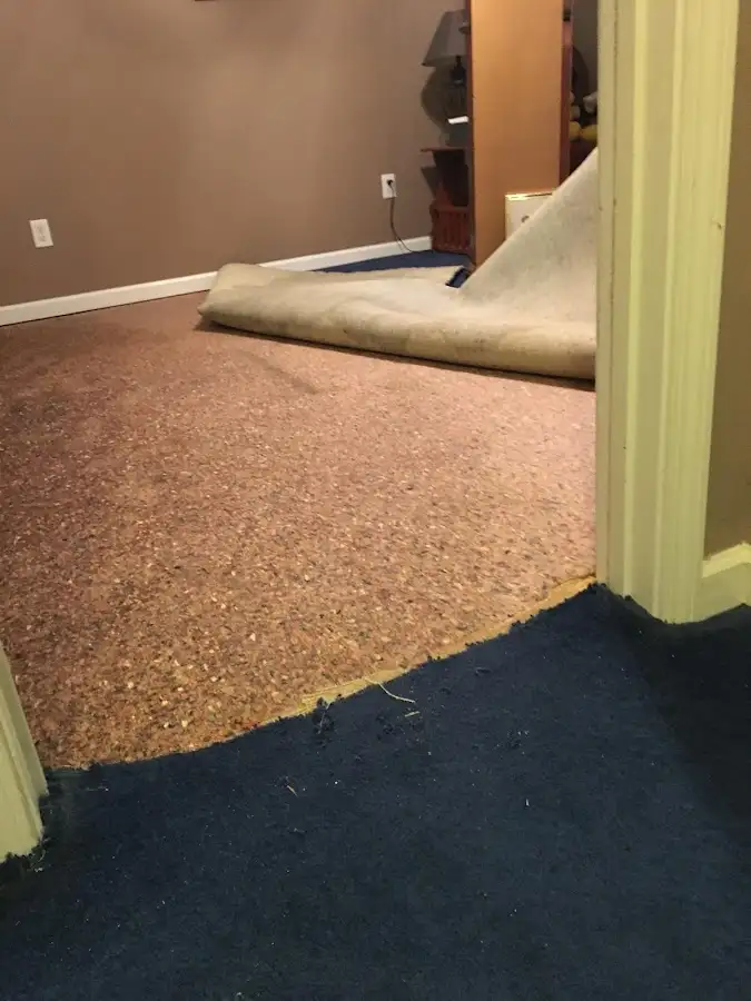 Carpet pad removal revealing water damage during Drying & Dehumidification in Berkeley Heights
