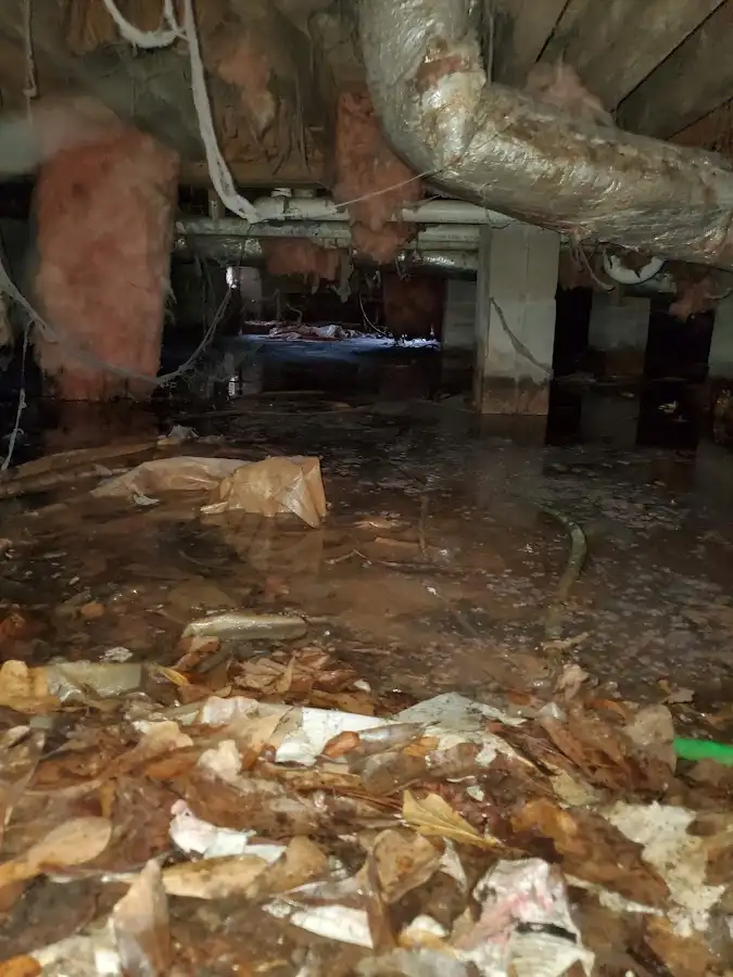 Crawl space flood assessment for Leak Detection & Repair in Berkeley Heights